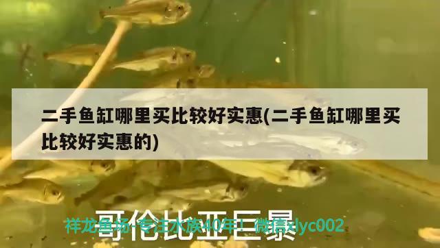 二手魚缸哪里買比較好實(shí)惠(二手魚缸哪里買比較好實(shí)惠的) 粗線銀版魚苗