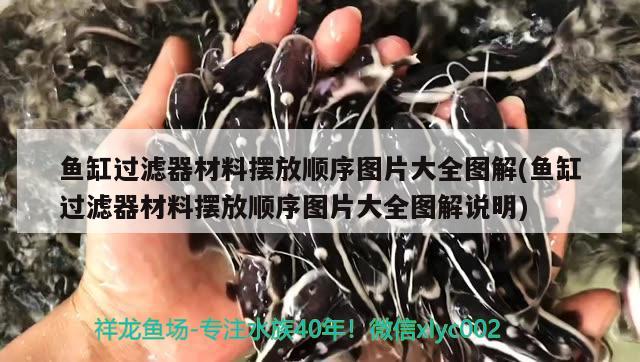 魚缸過濾器材料擺放順序圖片大全圖解(魚缸過濾器材料擺放順序圖片大全圖解說明) 彩鰈魚缸（彩蝶魚缸）