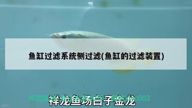 魚缸過濾系統(tǒng)側(cè)過濾(魚缸的過濾裝置) 招財(cái)戰(zhàn)船魚