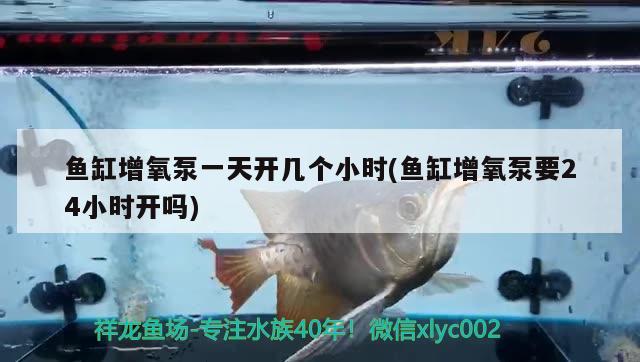 魚缸增氧泵一天開幾個小時(魚缸增氧泵要24小時開嗎) 魚缸風水