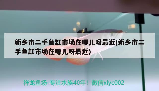 新鄉(xiāng)市二手魚缸市場在哪兒呀最近(新鄉(xiāng)市二手魚缸市場在哪兒呀最近)