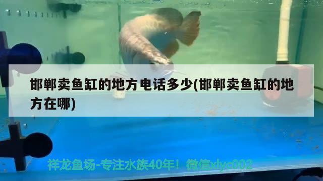 邯鄲賣魚缸的地方電話多少(邯鄲賣魚缸的地方在哪) 魚缸風(fēng)水