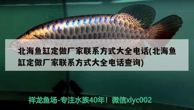 北海魚缸定做廠家聯(lián)系方式大全電話(北海魚缸定做廠家聯(lián)系方式大全電話查詢)