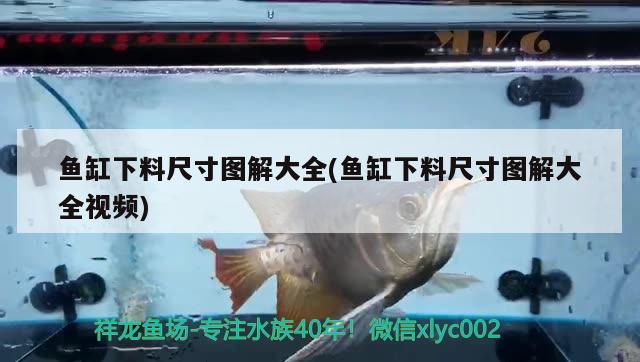 魚缸下料尺寸圖解大全(魚缸下料尺寸圖解大全視頻) 錦鯉池魚池建設(shè)