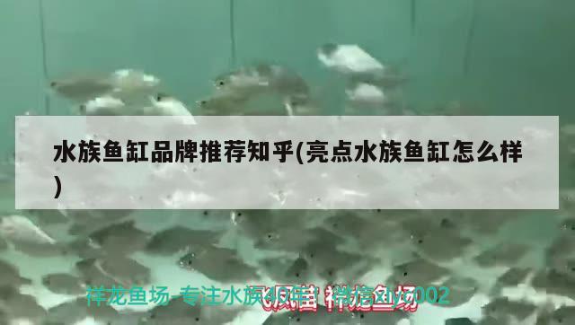 水族魚缸品牌推薦知乎(亮點(diǎn)水族魚缸怎么樣) 魚缸風(fēng)水