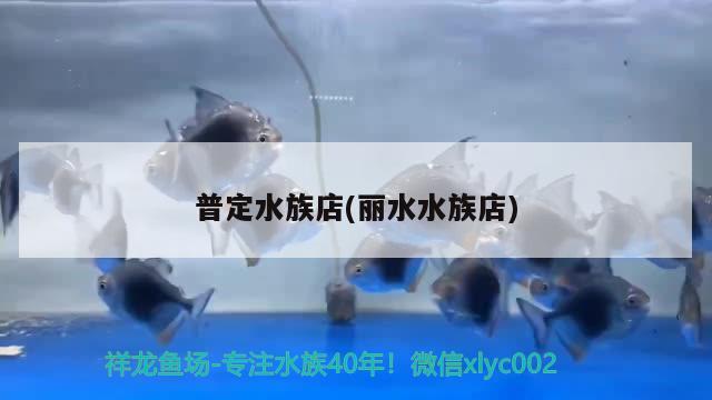 普定水族店(麗水水族店) 觀賞魚企業(yè)目錄