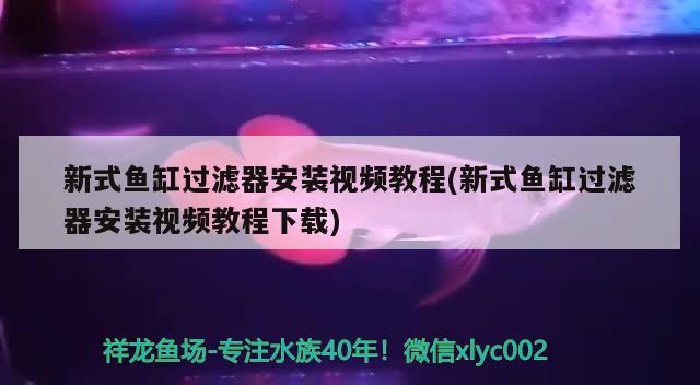 新式魚缸過濾器安裝視頻教程(新式魚缸過濾器安裝視頻教程下載) 魚缸風(fēng)水