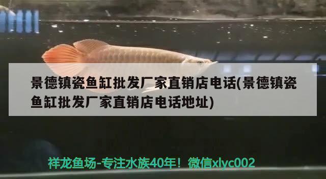 景德鎮(zhèn)瓷魚缸批發(fā)廠家直銷店電話(景德鎮(zhèn)瓷魚缸批發(fā)廠家直銷店電話地址) 黃鰭鯧魚