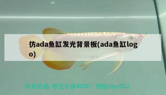 仿ada魚缸發(fā)光背景板(ada魚缸logo) 白子銀版魚