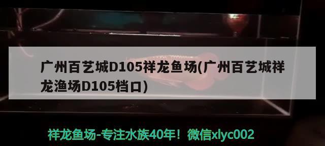 廣州百藝城D105祥龍魚場(chǎng)(廣州百藝城祥龍漁場(chǎng)D105檔口) 祥龍魚場(chǎng)