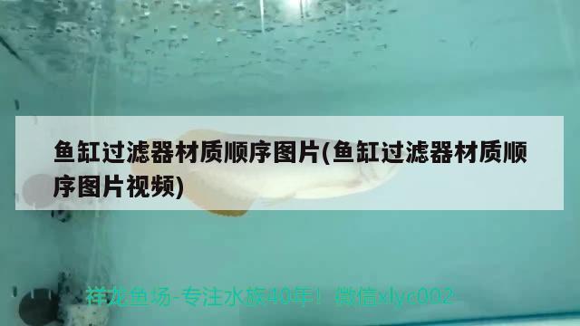 魚缸過濾器材質順序圖片(魚缸過濾器材質順序圖片視頻) 玫瑰銀版魚