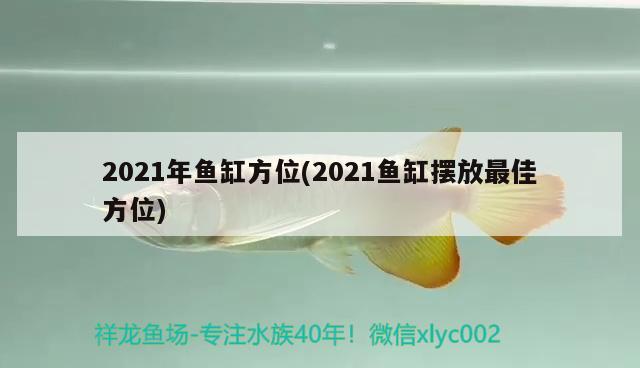 2021年魚(yú)缸方位(2021魚(yú)缸擺放最佳方位) 黑影道人魚(yú)