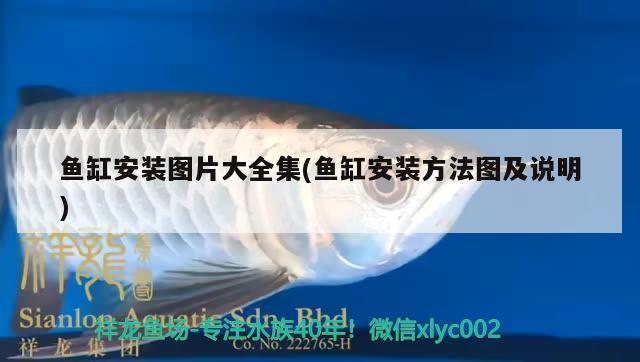 魚缸安裝圖片大全集(魚缸安裝方法圖及說明) 斯維尼關(guān)刀魚