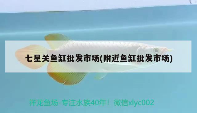 七星關(guān)魚缸批發(fā)市場(chǎng)(附近魚缸批發(fā)市場(chǎng)) 印尼虎苗