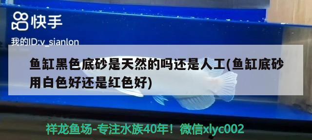 魚缸黑色底砂是天然的嗎還是人工(魚缸底砂用白色好還是紅色好) 賽級(jí)紅龍魚