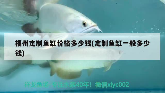 福州定制魚缸價(jià)格多少錢(定制魚缸一般多少錢) 水族雜談