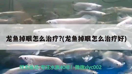 魚缸發(fā)什么物流便宜好點(diǎn)(一個小魚缸物流運(yùn)費(fèi)多少錢)