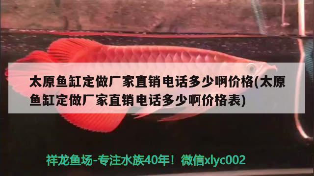 太原魚缸定做廠家直銷電話多少啊價格(太原魚缸定做廠家直銷電話多少啊價格表) 硝化細(xì)菌