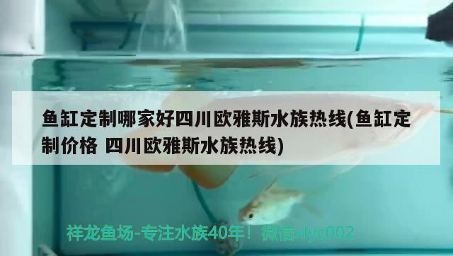 魚缸定制哪家好四川歐雅斯水族熱線(魚缸定制價格四川歐雅斯水族熱線) 祥龍水族醫(yī)院