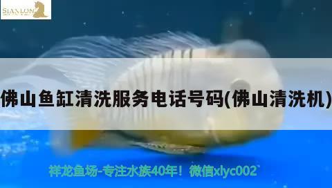 佛山魚缸清洗服務(wù)電話號碼(佛山清洗機) 水族燈（魚缸燈）