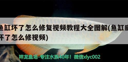 魚缸壞了怎么修復(fù)視頻教程大全圖解(魚缸底壞了怎么修視頻) 沖氧泵