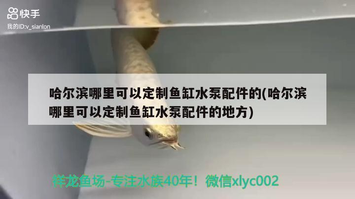 哈爾濱哪里可以定制魚缸水泵配件的(哈爾濱哪里可以定制魚缸水泵配件的地方) 魚缸水泵