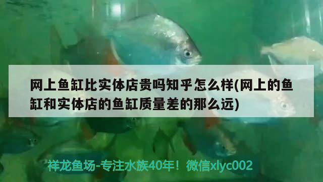 網(wǎng)上魚缸比實體店貴嗎知乎怎么樣(網(wǎng)上的魚缸和實體店的魚缸質(zhì)量差的那么遠) 潛水泵