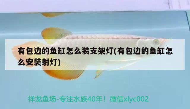 有包邊的魚缸怎么裝支架燈(有包邊的魚缸怎么安裝射燈) 羅漢魚批發(fā)