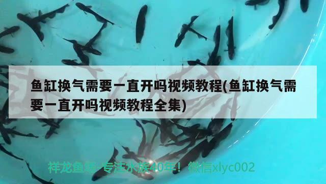 魚缸換氣需要一直開嗎視頻教程(魚缸換氣需要一直開嗎視頻教程全集) 泰龐海蓮魚