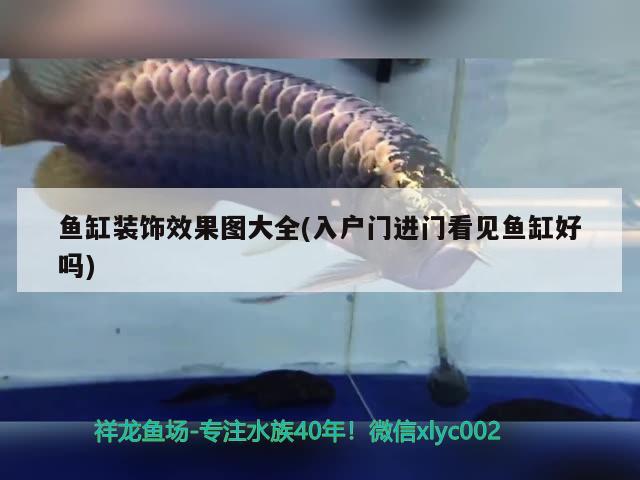 魚缸裝飾效果圖大全(入戶門進門看見魚缸好嗎)