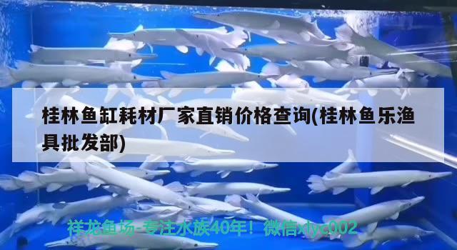 桂林魚缸耗材廠家直銷價(jià)格查詢(桂林魚樂漁具批發(fā)部) 祥龍魚場其他產(chǎn)品