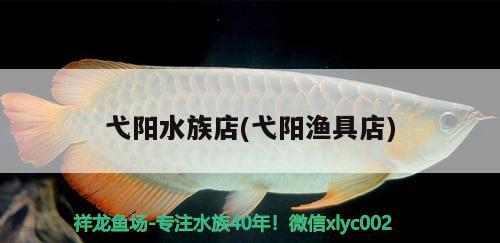 弋陽(yáng)水族店(弋陽(yáng)漁具店)