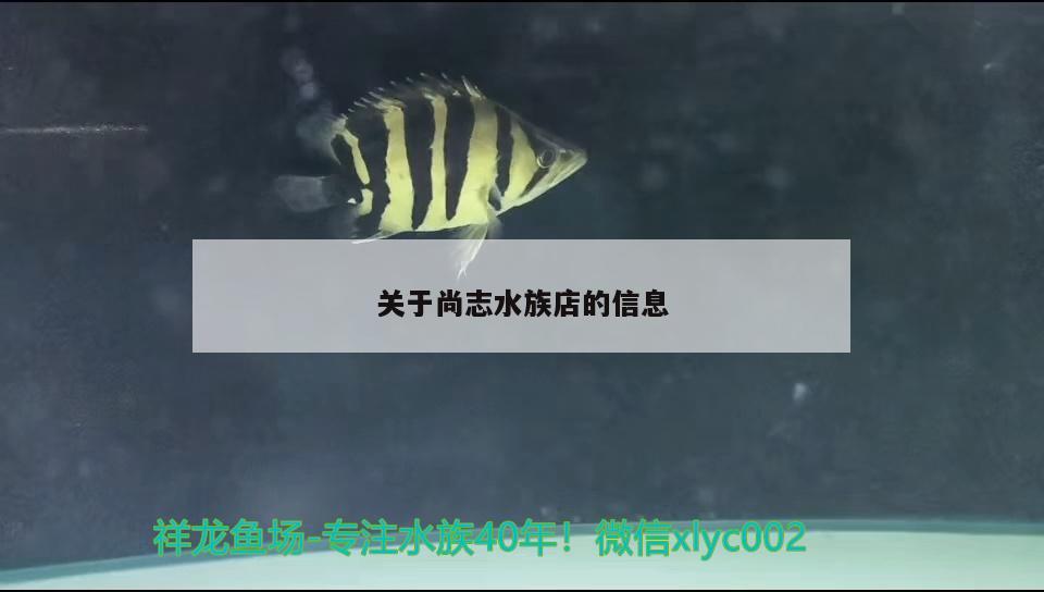 關于尚志水族店的信息 魚缸清潔用具