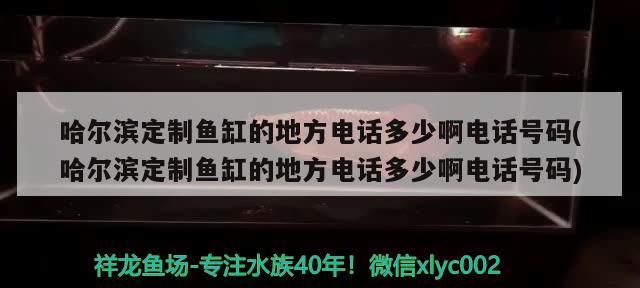 哈爾濱定制魚缸的地方電話多少啊電話號碼(哈爾濱定制魚缸的地方電話多少啊電話號碼)