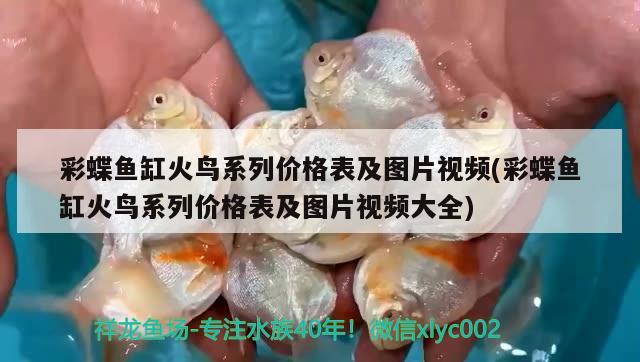 彩蝶魚(yú)缸火鳥(niǎo)系列價(jià)格表及圖片視頻(彩蝶魚(yú)缸火鳥(niǎo)系列價(jià)格表及圖片視頻大全)