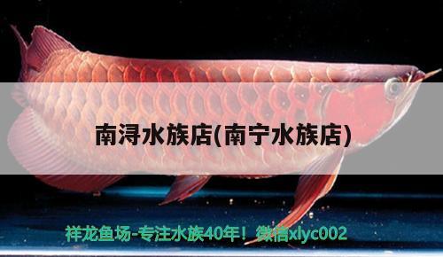 南潯水族店(南寧水族店) 狗仔招財貓魚