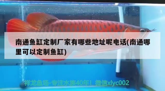 南通魚缸定制廠家有哪些地址呢電話(南通哪里可以定制魚缸) 龍魚批發(fā)