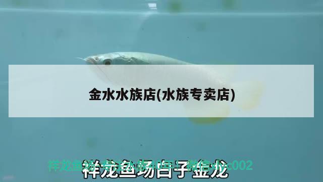 金水水族店(水族專賣店) 觀賞魚百科