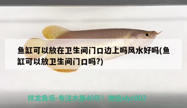 魚(yú)缸可以放在衛(wèi)生間門(mén)口邊上嗎風(fēng)水好嗎(魚(yú)缸可以放衛(wèi)生間門(mén)口嗎?) 魚(yú)缸風(fēng)水