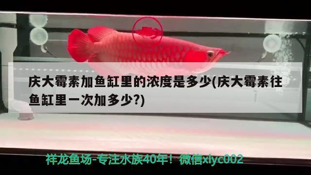 慶大霉素加魚缸里的濃度是多少(慶大霉素往魚缸里一次加多少？)