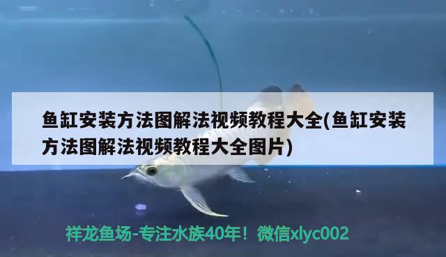 魚缸安裝方法圖解法視頻教程大全(魚缸安裝方法圖解法視頻教程大全圖片)