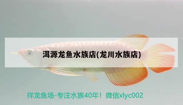 洱源龍魚(yú)水族店(龍川水族店) 觀賞魚(yú)批發(fā)