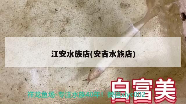 江安水族店(安吉水族店) 觀賞龜/鱉飼料 第2張