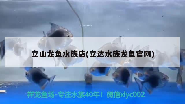 立山龍魚水族店(立達水族龍魚官網(wǎng))