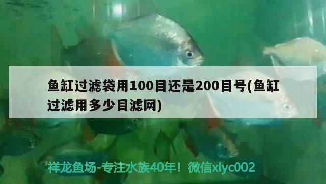 魚缸過濾袋用100目還是200目號(魚缸過濾用多少目濾網) 水溫計