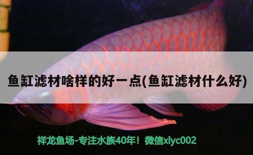 魚缸濾材啥樣的好一點(魚缸濾材什么好) 翡翠鳳凰魚