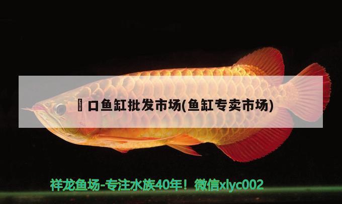 硚口魚缸批發(fā)市場(魚缸專賣市場) 祥龍水族護理水