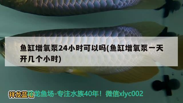 魚缸增氧泵24小時可以嗎(魚缸增氧泵一天開幾個小時)