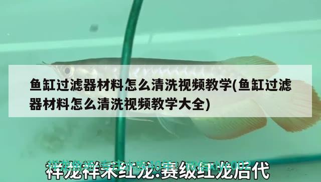 魚(yú)缸過(guò)濾器材料怎么清洗視頻教學(xué)(魚(yú)缸過(guò)濾器材料怎么清洗視頻教學(xué)大全) 紅眼黃化幽靈火箭魚(yú)|皇家火箭魚(yú)