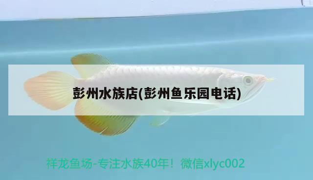 彭州水族店(彭州魚樂園電話) 黑水素 第1張